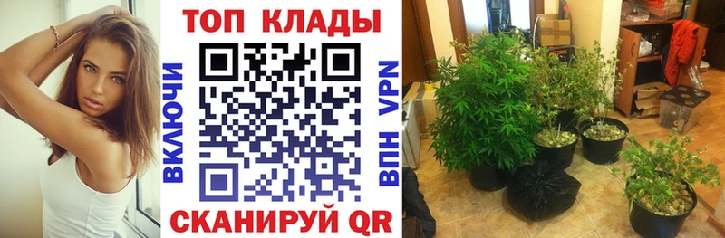 Наркошоп купить Alpha-PVP MDMA Меф мяу мяу ГАШИШ Cocaine Старица